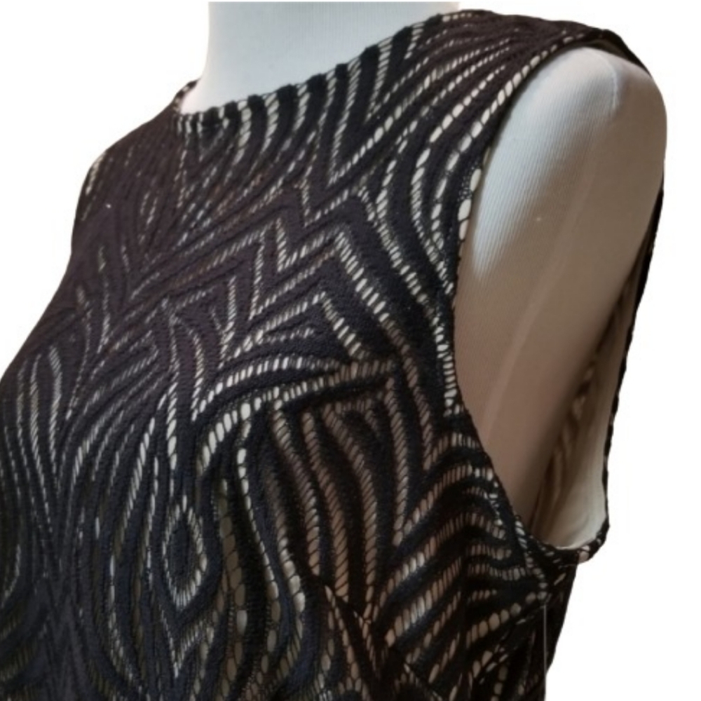 🆕️⬇️🎉HOST PICK🎉 Julia Jordan Black Fringed Hem Lace Shift Dress - Picture 3 of 9